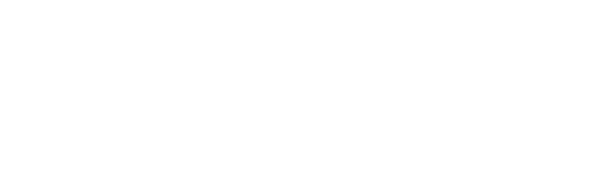 WNBA State Street